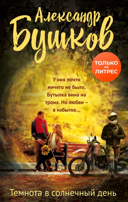 Темнота в солнечный день  Александр Бушков
