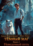 Темный маг Книга 1 Неведомый путь