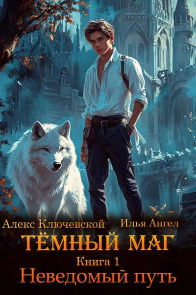 Темный маг Книга 1 Неведомый путь