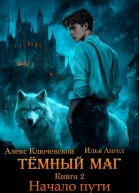 Темный маг Книга 2 Начало пути