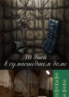 Ten Days in а Madhouse