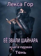 Тень СИ