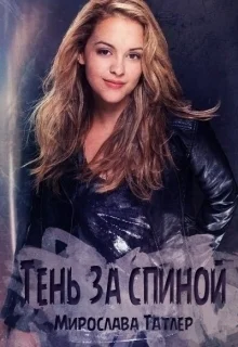 Тень за спиной СИ