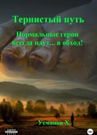 Тернистый путь Нормальные герои всегда идут в обход