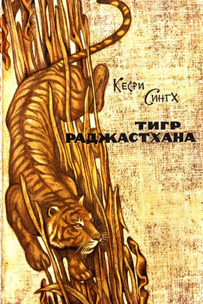 Тигр Раджастхана