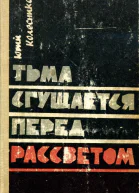 Тьма сгущается перед рассветом Роман