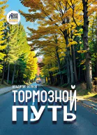 Тормозной путь