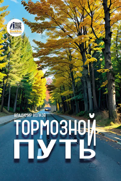 Тормозной путь