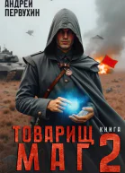 Товарищ маг Книга вторая