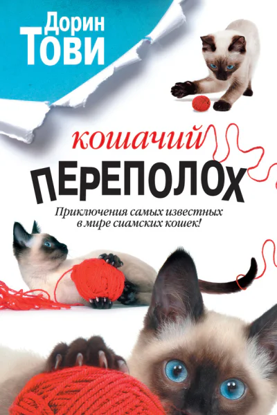 Тови Дорин Кошачий переполох  сборник