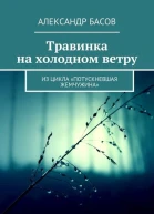 Травинка на холодном ветру СИ