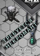 Требуется Некромант СИ