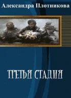 Третья стадия СИ