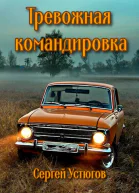 Тревожная командировка