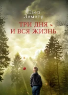 Три дня и вся жизнь  роман  Пьер Леметр