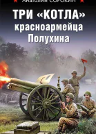 Три котла красноармейца Полухина  Анатолий Сорокин