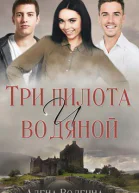 Три пилота и водяной СИ