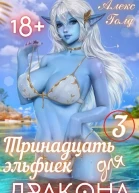 Тринадцать эльфиек для ДРАКОНА 3 СИ