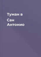 Туман в Сан Антонио