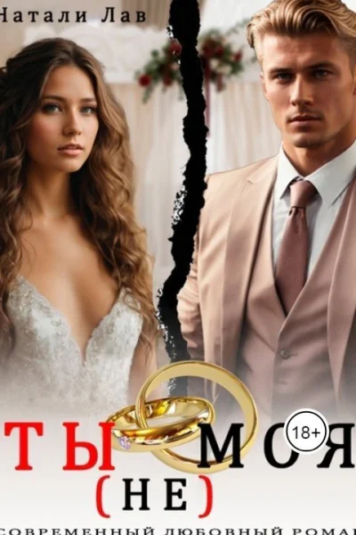 Ты не моя СИ