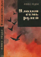 У лодки семь рулей