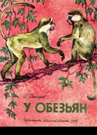 У обезьян