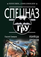 Убийцы дронов