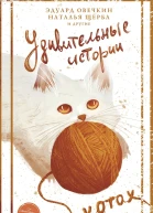 Удивительные истории о котах