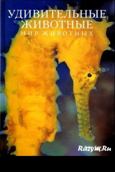 Удивительные животные