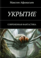 Укрытие СИ