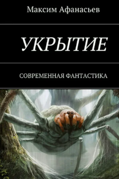Укрытие СИ