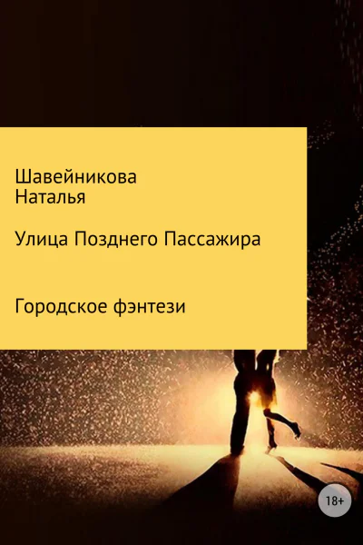 Улица Позднего Пассажира