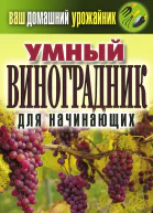 Умный виноградник для начинающих