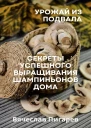 Урожай из подвала Секреты успешного выращивания шампиньонов дома