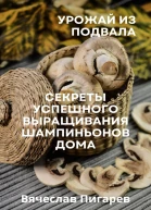 Урожай из подвала Секреты успешного выращивания шампиньонов дома