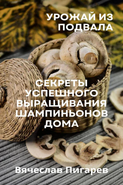 Урожай из подвала Секреты успешного выращивания шампиньонов дома
