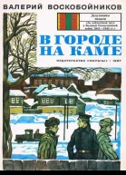 В городе на Каме