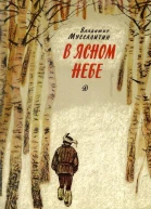 В ясном небе