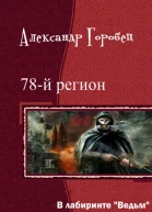 В лабиринте Ведьм СИ