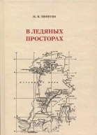 В ледяных просторах