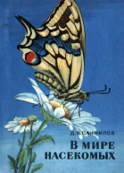 В мире насекомых