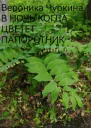 В ночь когда цветёт папоротник