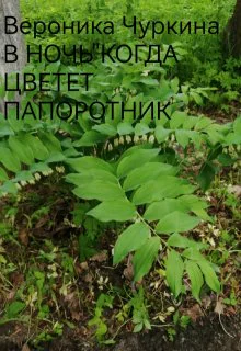 В ночь когда цветёт папоротник