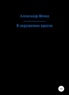 В окружении врагов