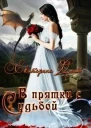В прятки с судьбой СИ