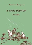 В просторном мире