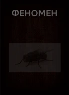 Вадим Астанин Странное дело детектива Кайсара