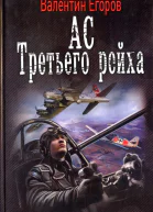 Валентин Егоров Ас Третьего рейха