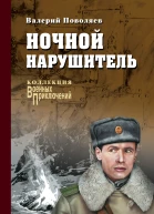 Валерий Поволяев Ночной нарушитель