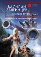 Василий Звягинцев Не бойся друзей Том 1 Викторианские забавы Хантерклуба